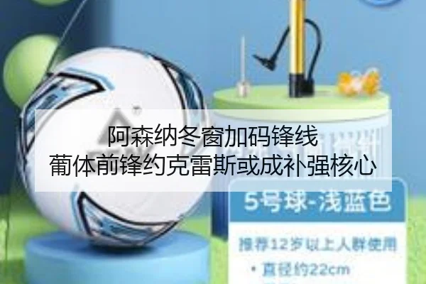 阿森纳冬窗加码锋线 葡体前锋约克雷斯或成补强核心